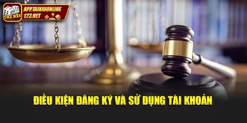 Điều kiện đăng ký và sử dụng tài khoản