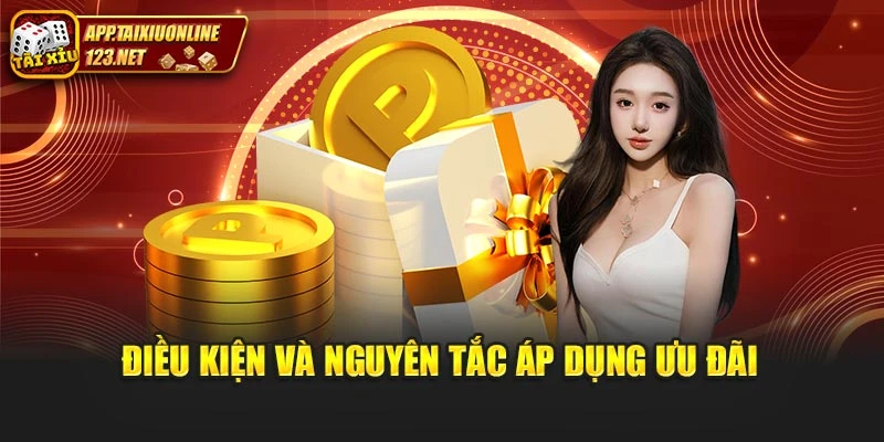 Điều kiện và nguyên tắc áp dụng ưu đãi
