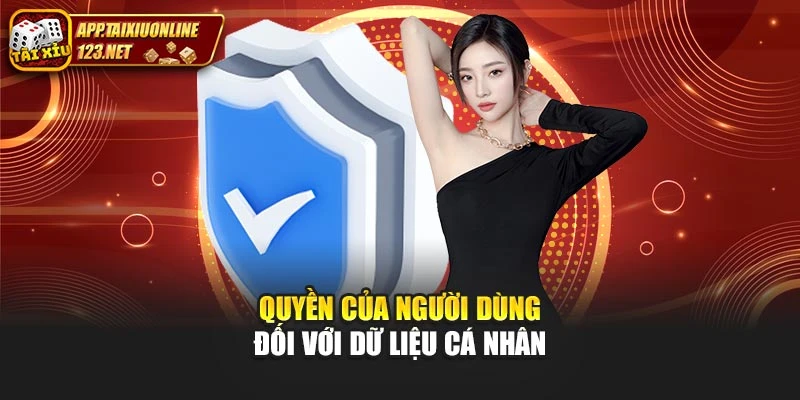 Quyền của người dùng đối với dữ liệu cá nhân